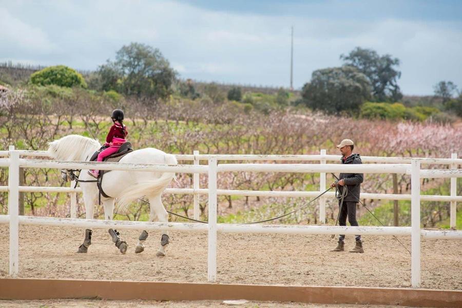 Vila Gale Alentejo Vineyard - Clube De Campo Hotel Albernoa Eksteriør billede