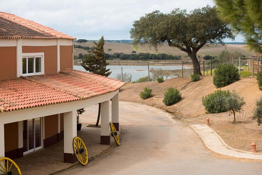 Vila Gale Alentejo Vineyard - Clube De Campo Hotel Albernoa Eksteriør billede