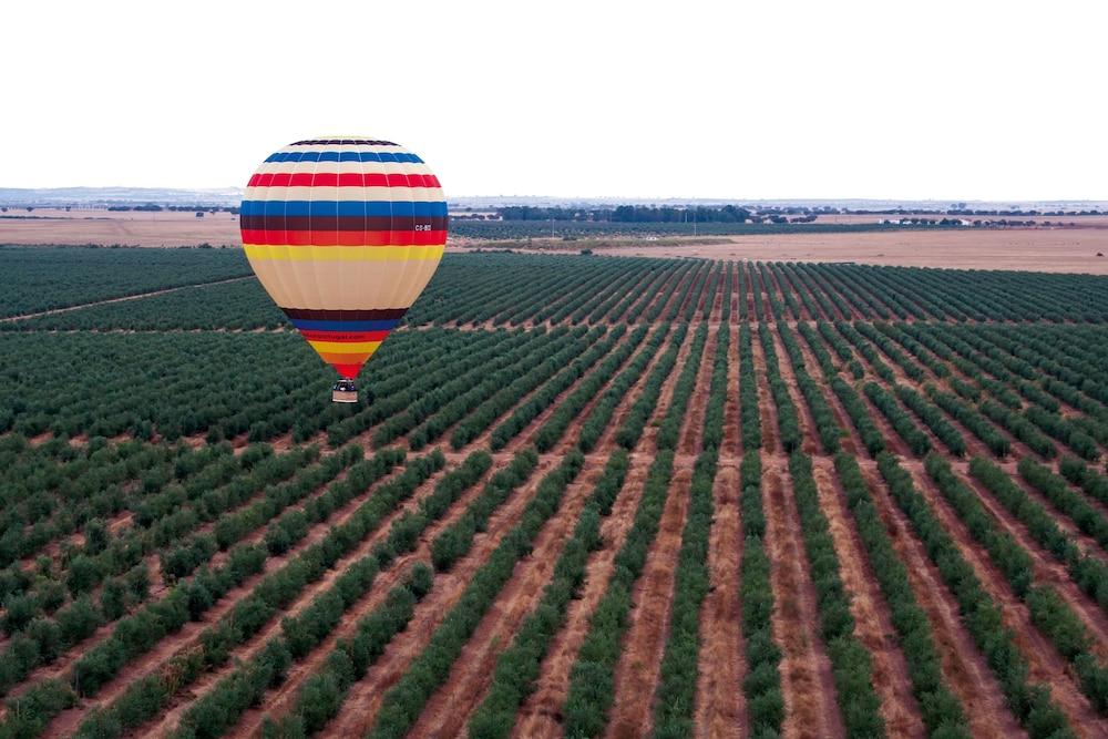 Vila Gale Alentejo Vineyard - Clube De Campo Hotel Albernoa Eksteriør billede